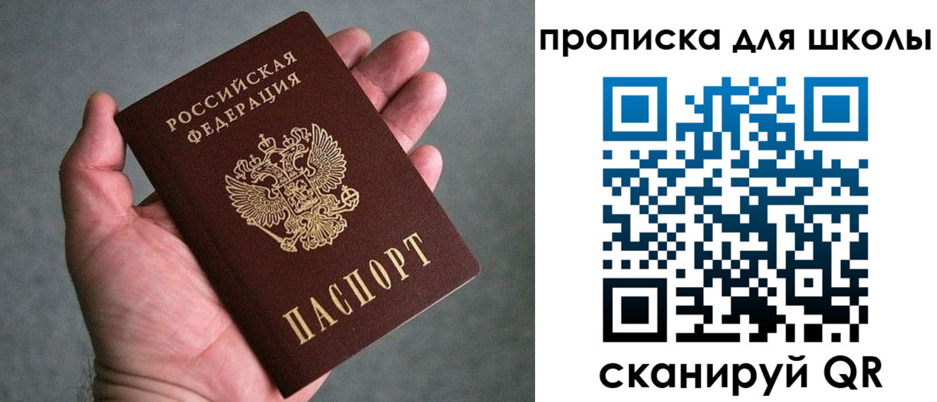 прописка для школы в Соколе